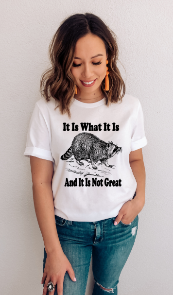 It Is What It Is And It Ain't Great