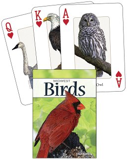 Playing Cards