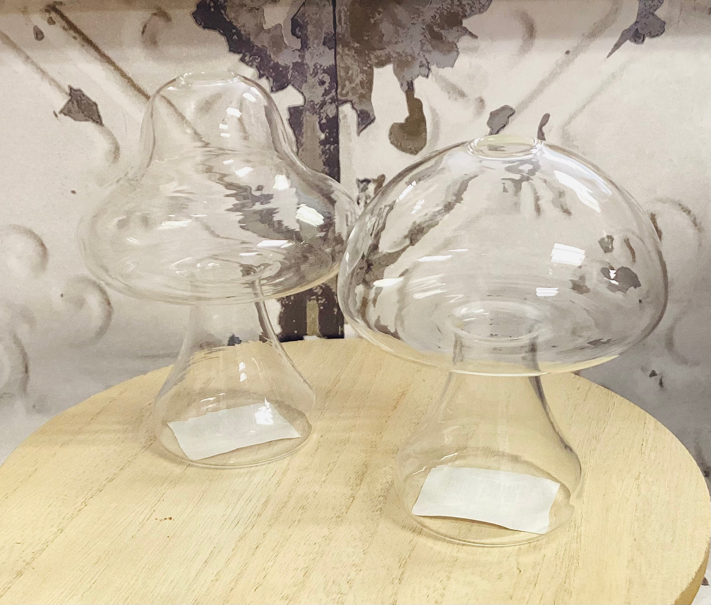 Mushroom Plant Holders