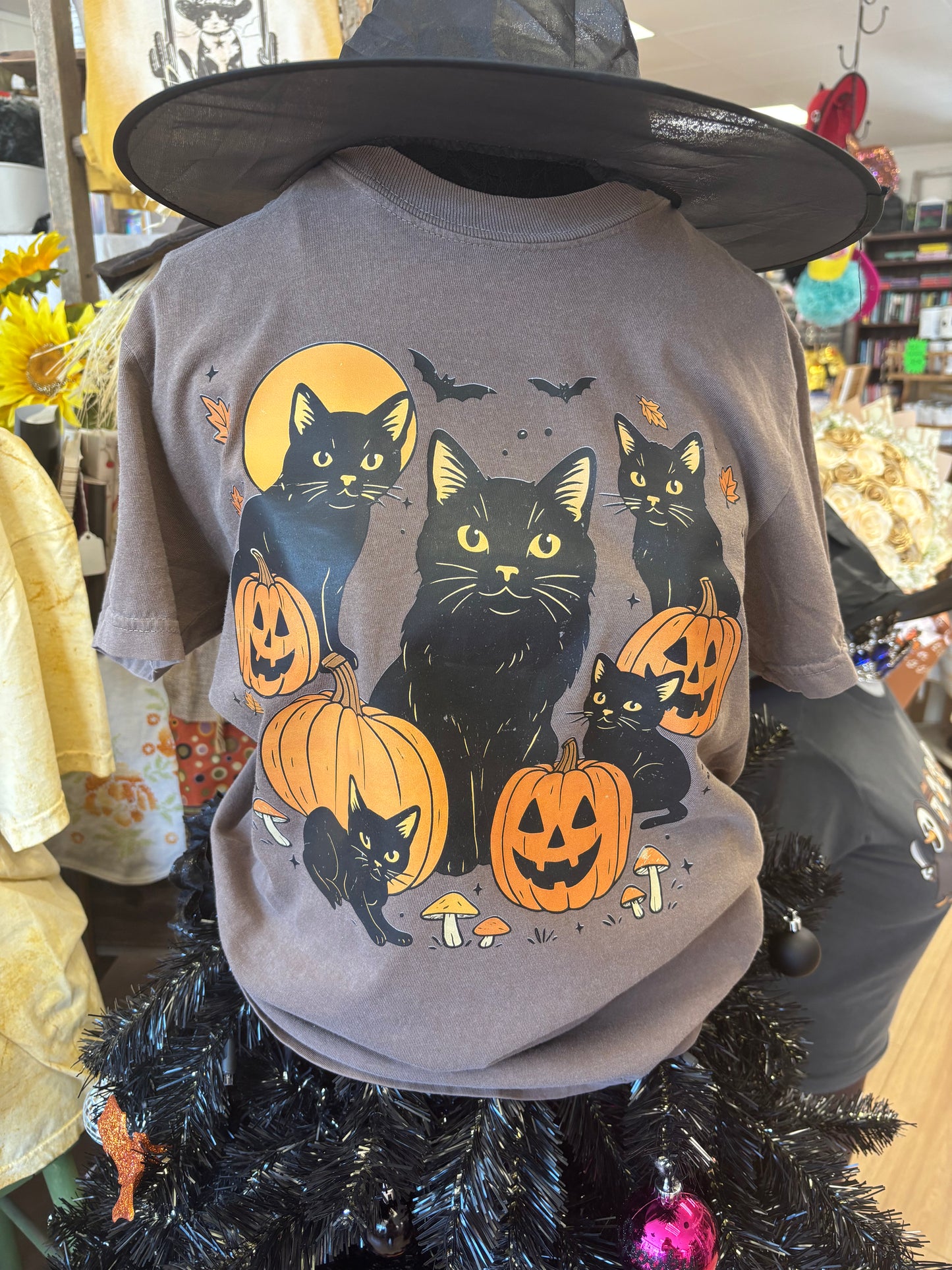 Cats and Bats