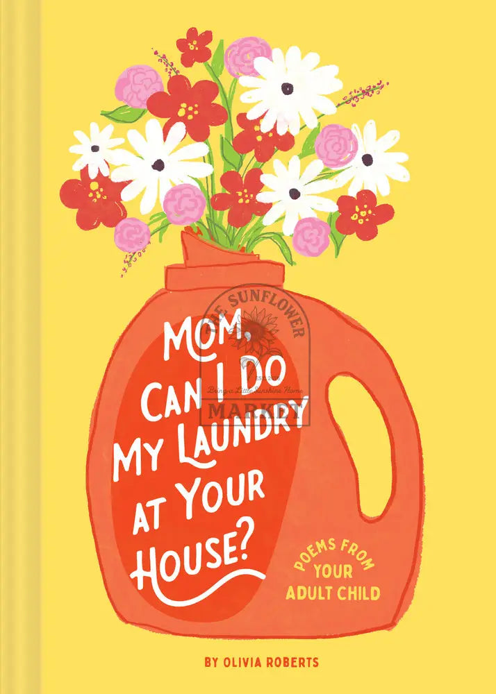 HB3 - Mom can i do laundry at your house?