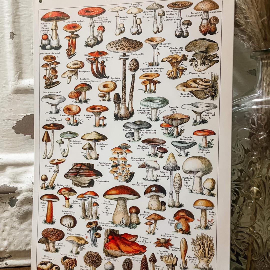 Metal signs