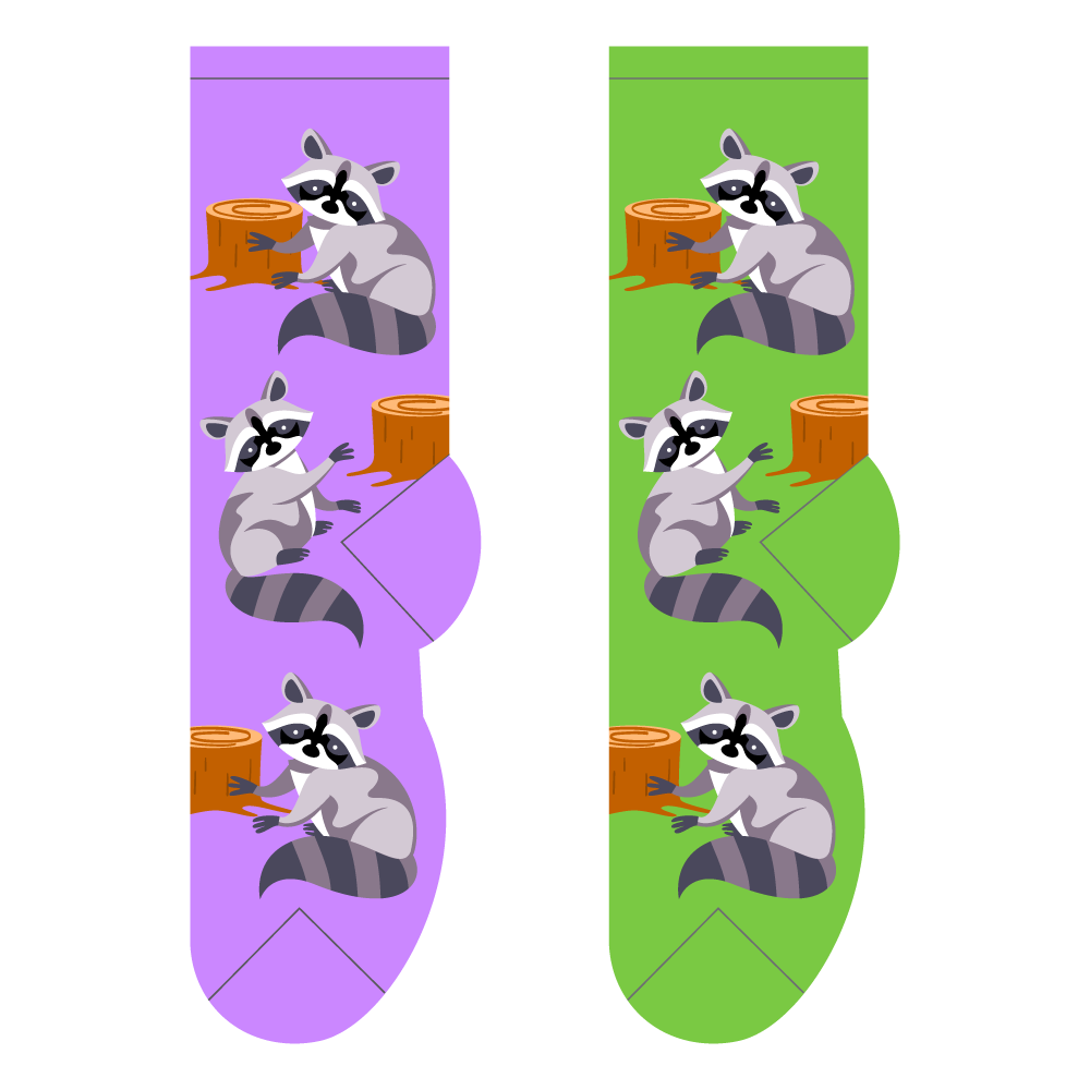 Racoons