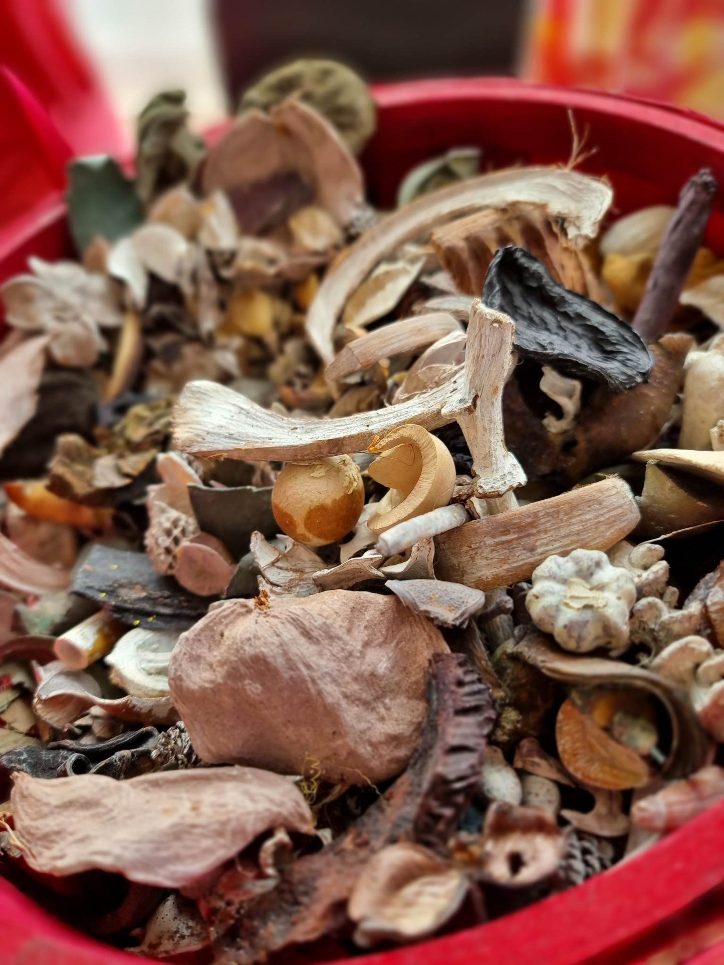 Potpourri