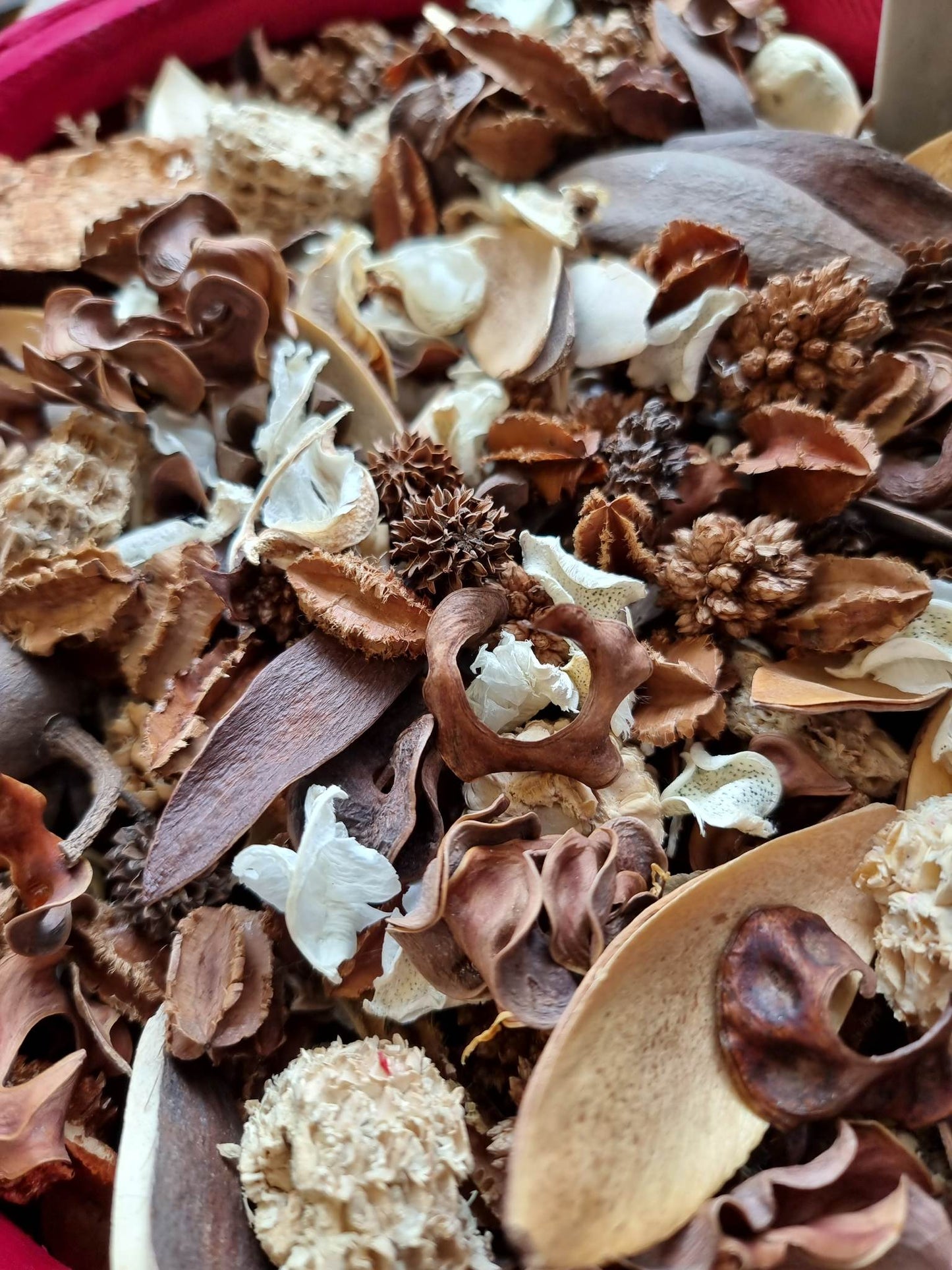 Potpourri