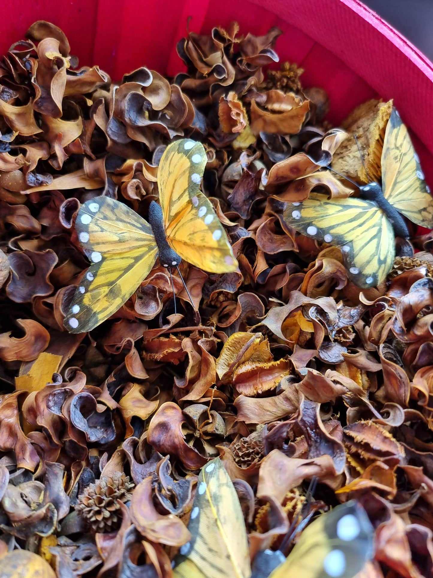 Potpourri