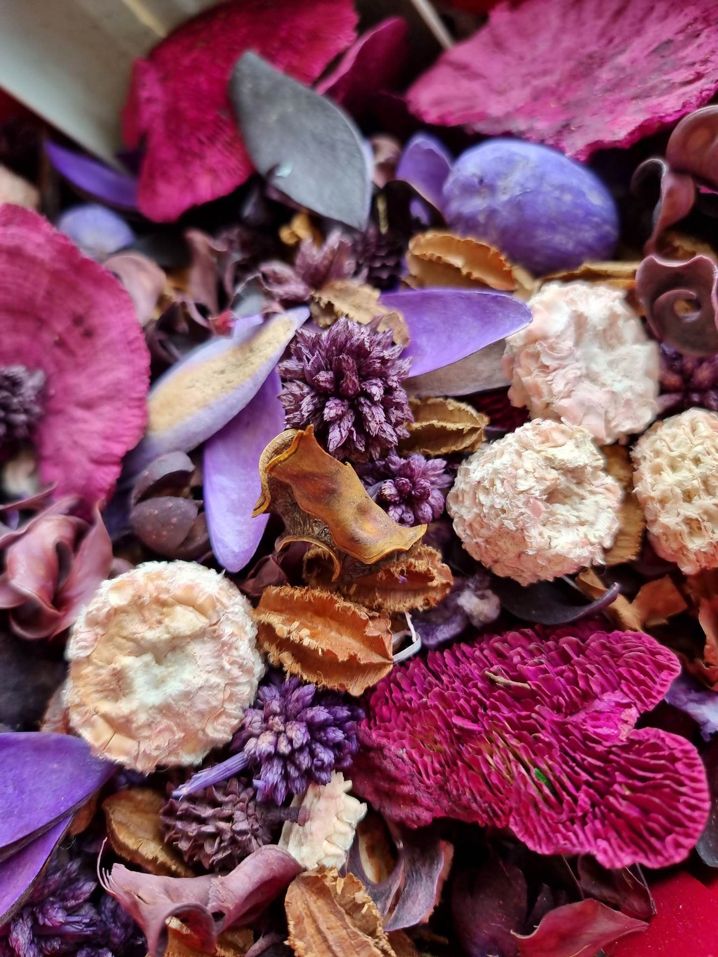 Potpourri