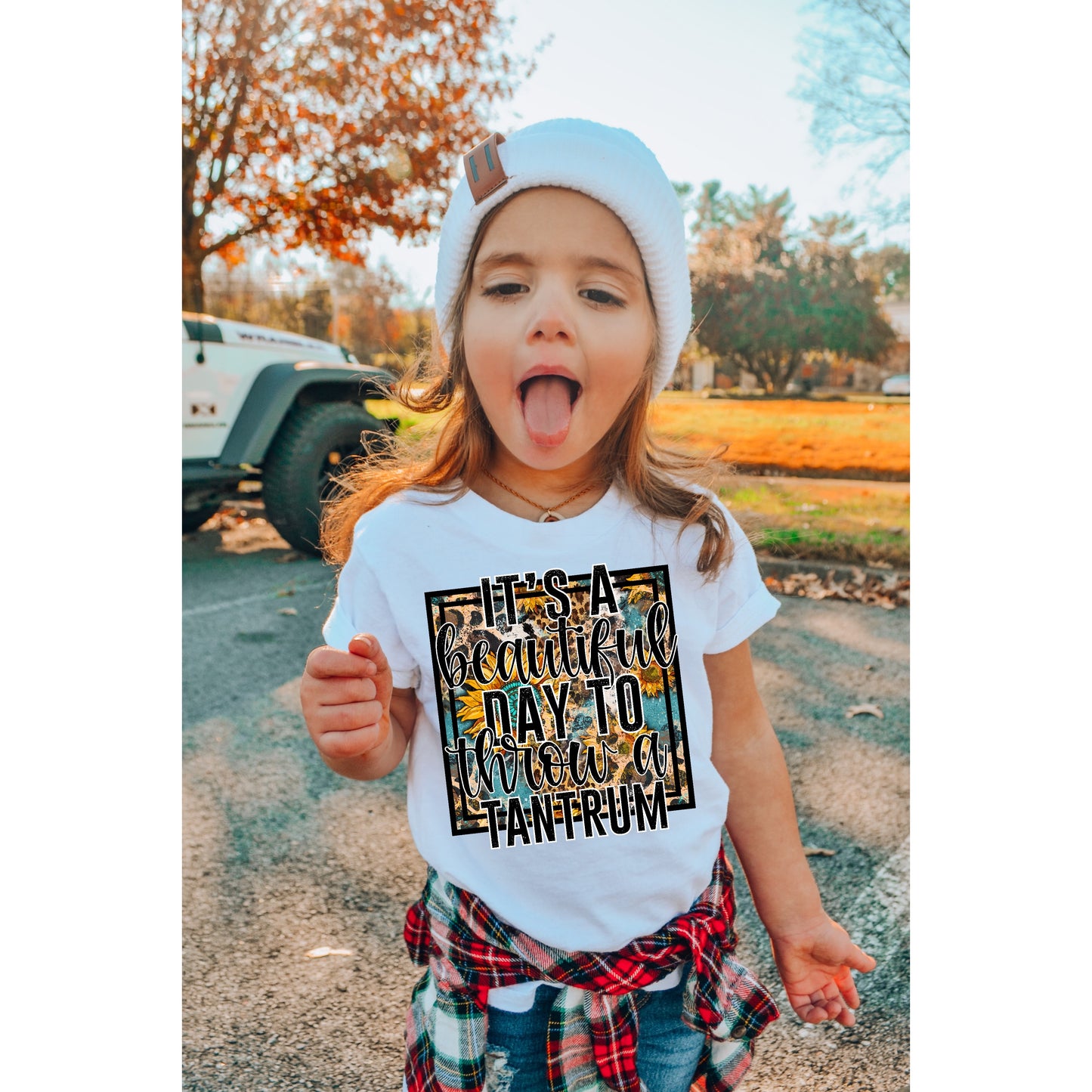 It's A Wonderful Day To Throw A Tantrum