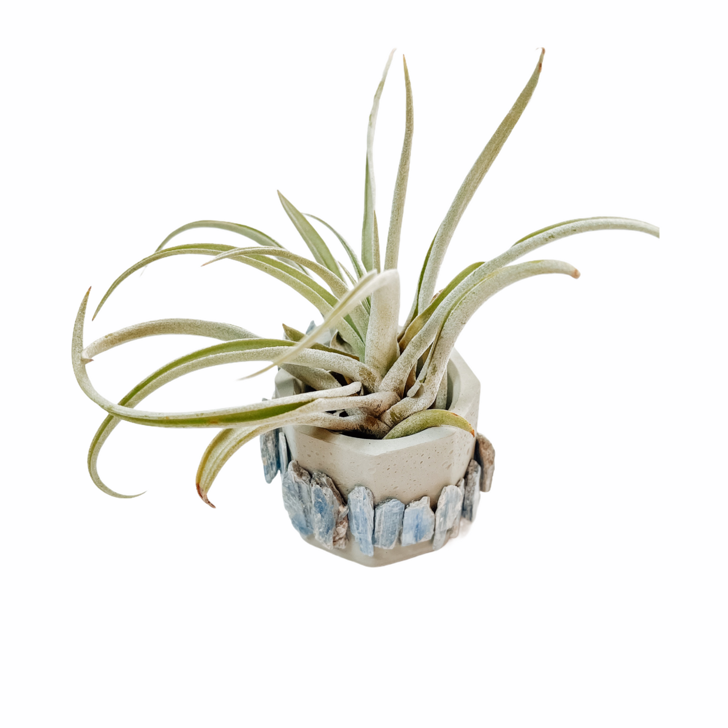 Planters