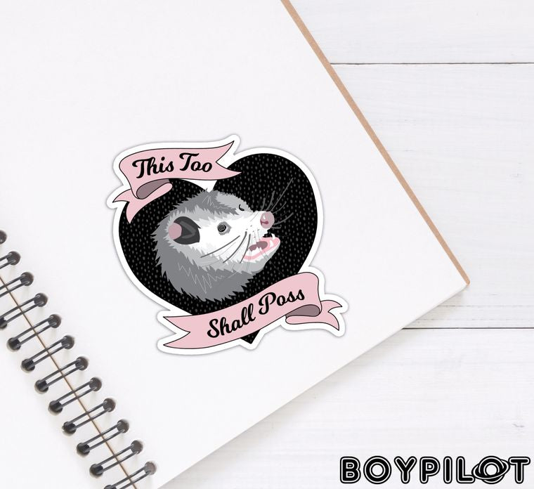 Possum Sticker Mix - Opossum Cute Funny Vinyl Sticker Slap Mix