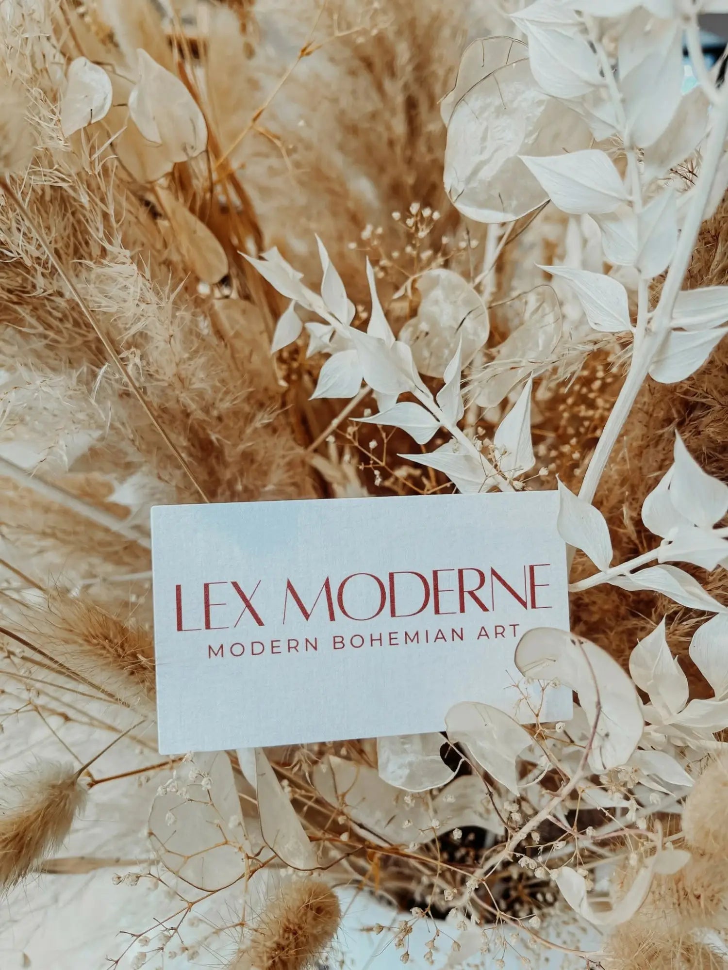 Lex Moderne