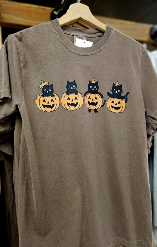 Cats in Pumpkins