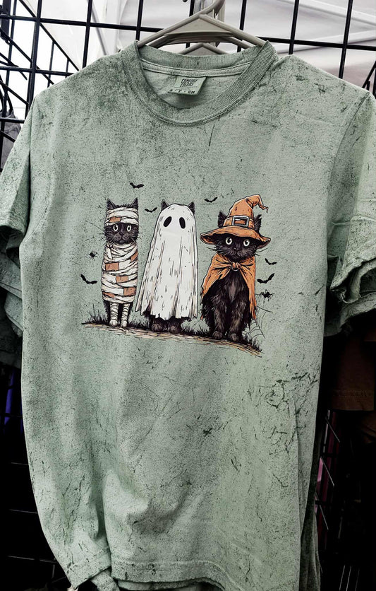 Cats in Costume