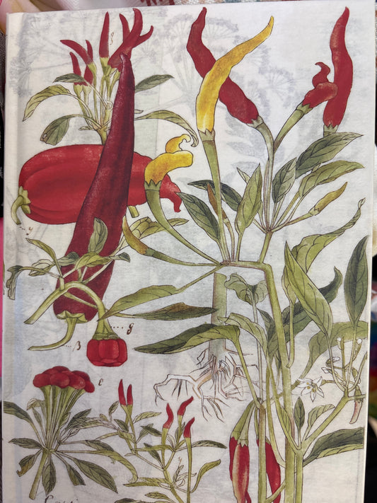 Chili Pepper Journal
