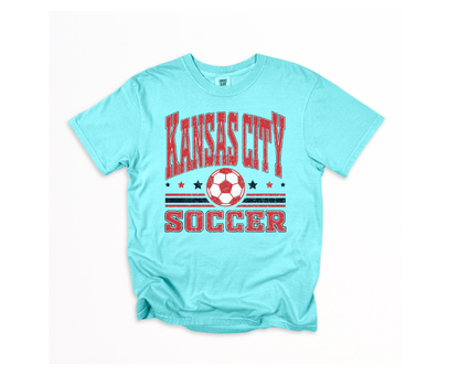 Current Soccer Stars and Stripes