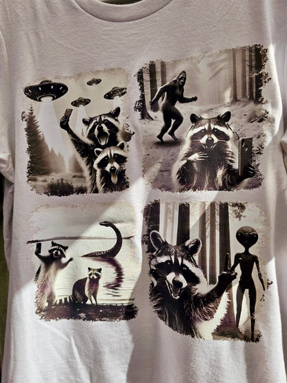 Raccoon Encounters