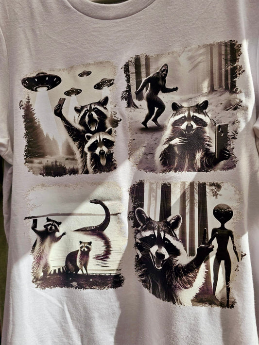 Raccoon Encounters