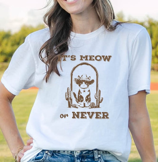 It's Meow Or Never