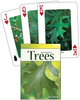 Playing Cards
