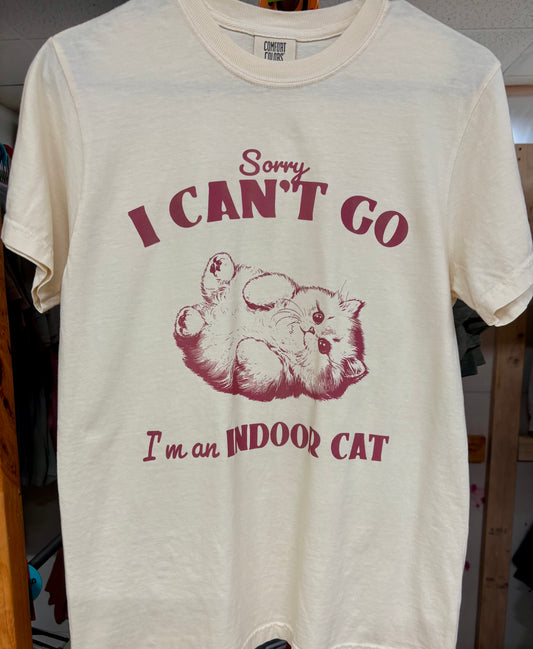 Indoor Cat