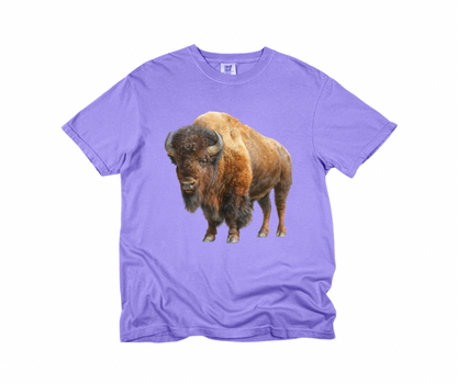 Buffalo