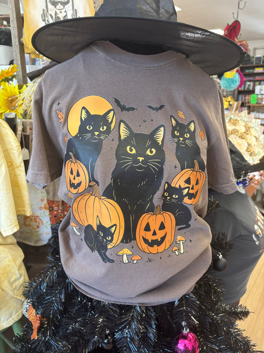 Cats and Bats