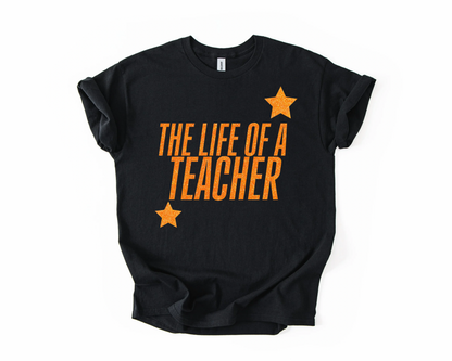 Life of a Teacher