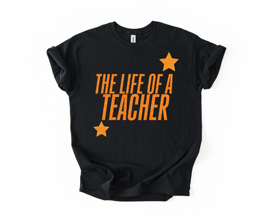 Life of a Teacher