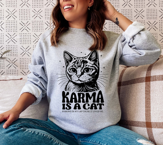 Karma Is A Cat Taylor