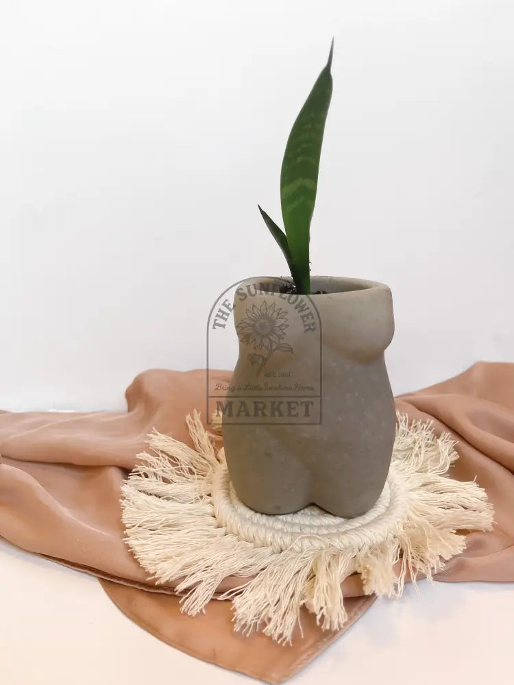 Body Planters