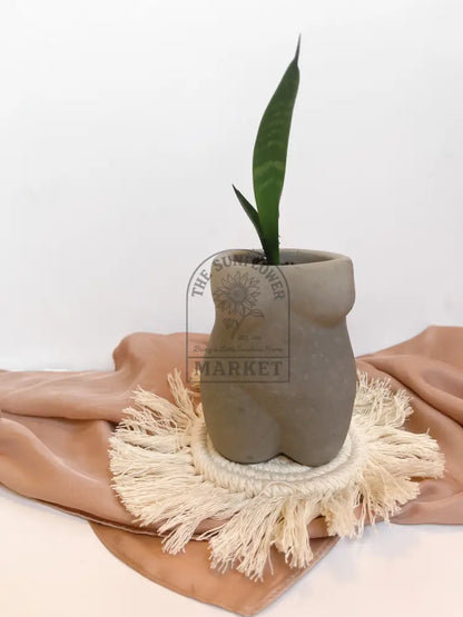 Body Planters
