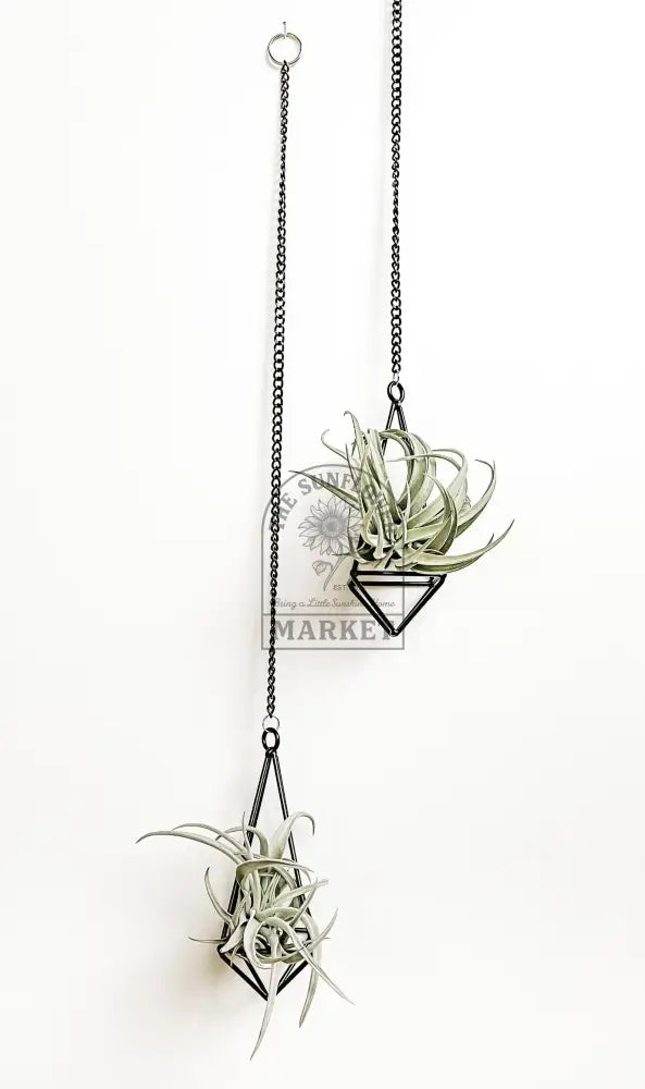 Decor - Airplane Hangers