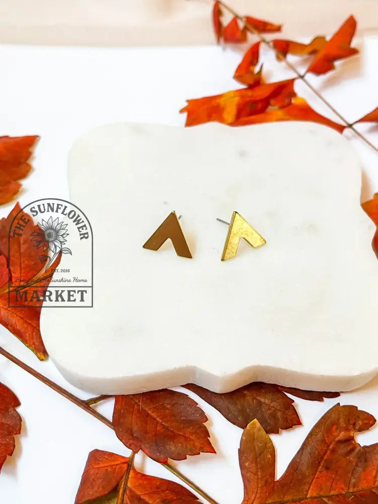 Earrings - Brass and SS Triangle