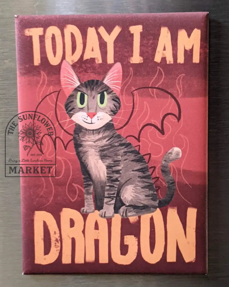 Magnets - Today I am dragon