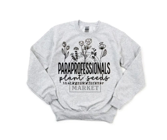 Paraprofessional