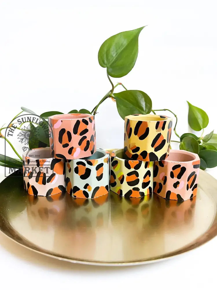 Planters - Leopard Print