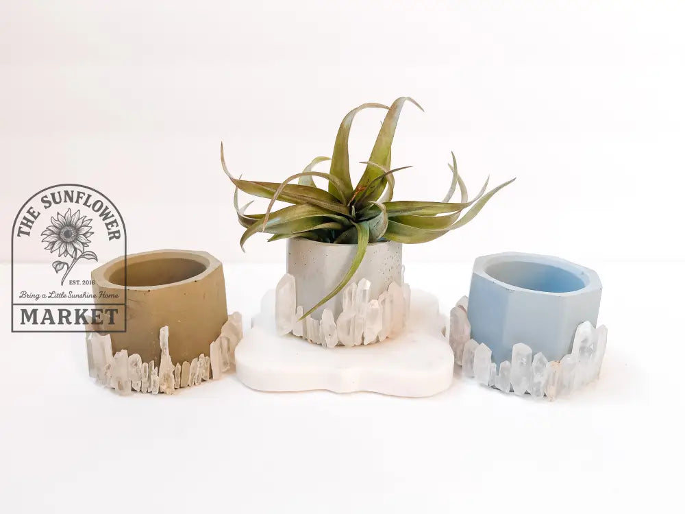 Planters - Mini Clear Quartz