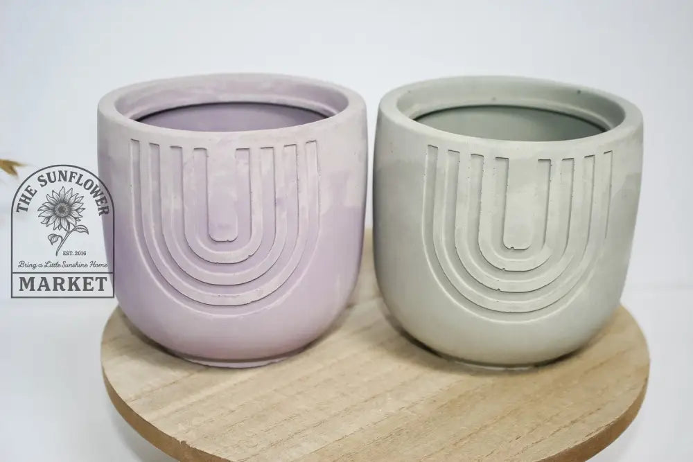 Planters - Rainbow