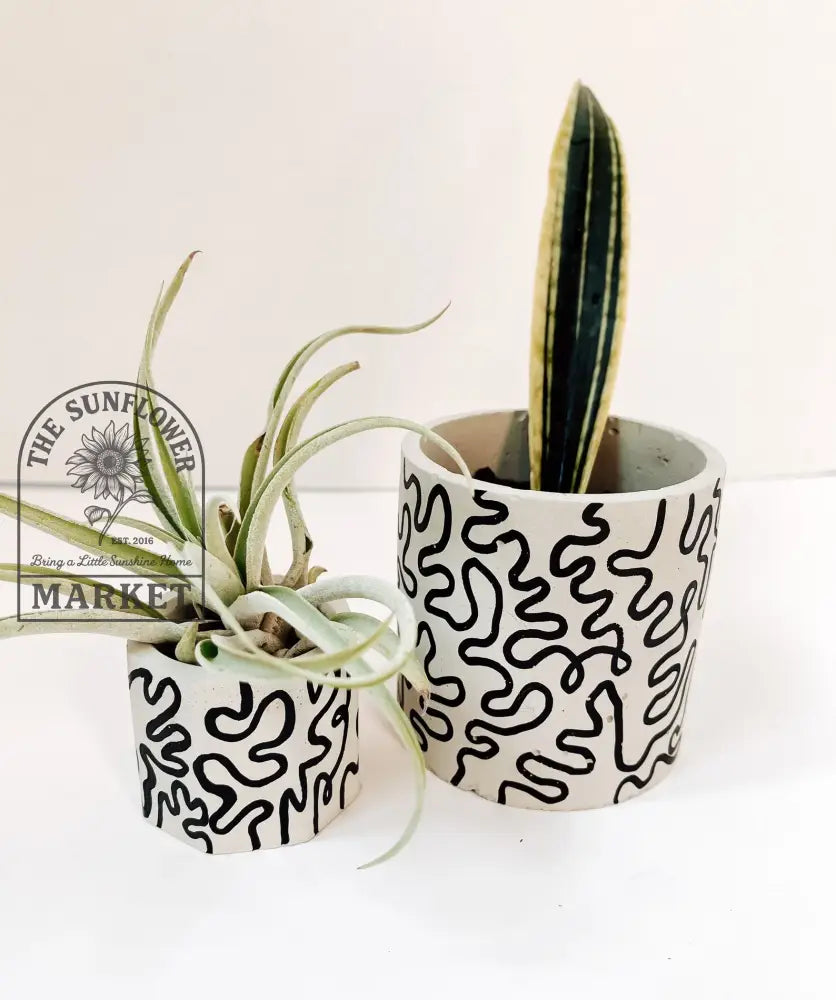 Planters - Squiggle