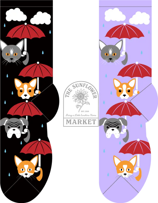 Raining Cats & Dogs