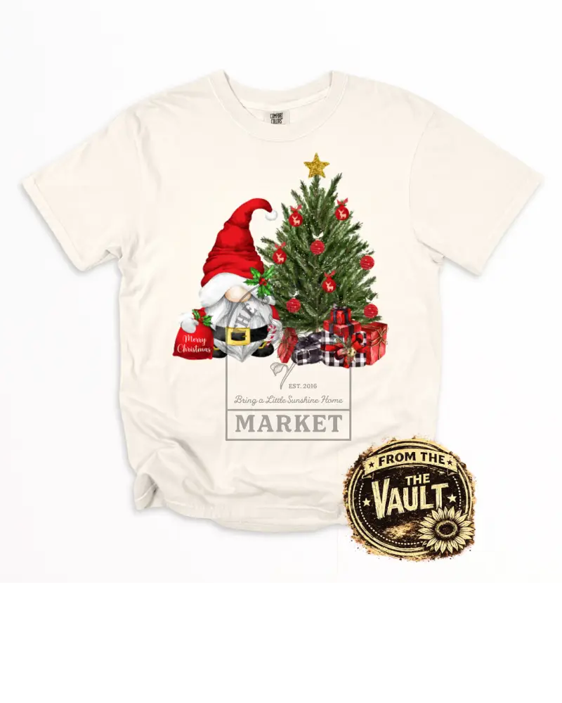 Santa Christmas Gnome