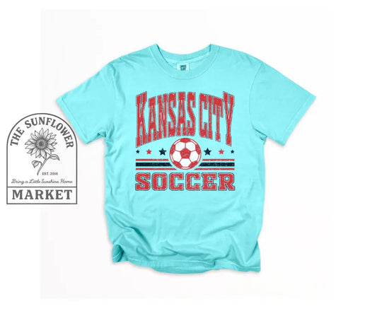 Soccer Stars and Stripes