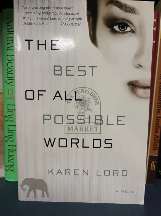 The Best of All Possible Worlds