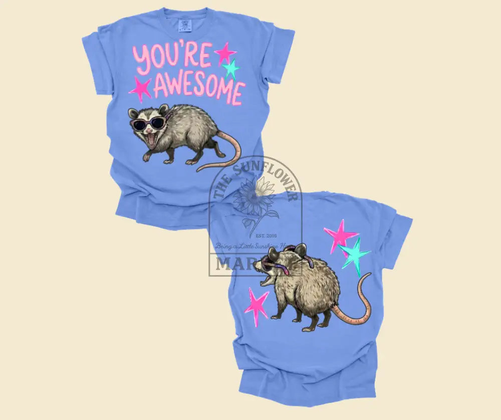 You’re Awesome